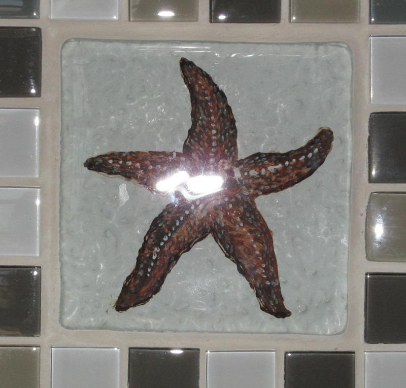 star fish,glass tile,reverse glass painting,shell tiles,susan davies,cape cod
